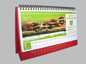 南京珠江路平面设计与广告服务公司 专业的代理代办解决方案