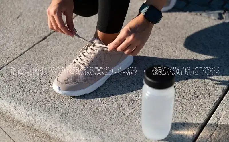鲸鱼体育在线直播入口
